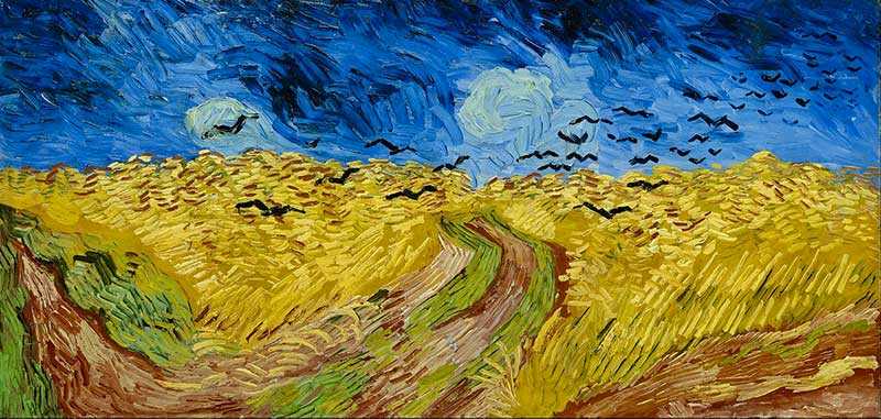 Wheat field with Crows